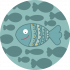 icon box image